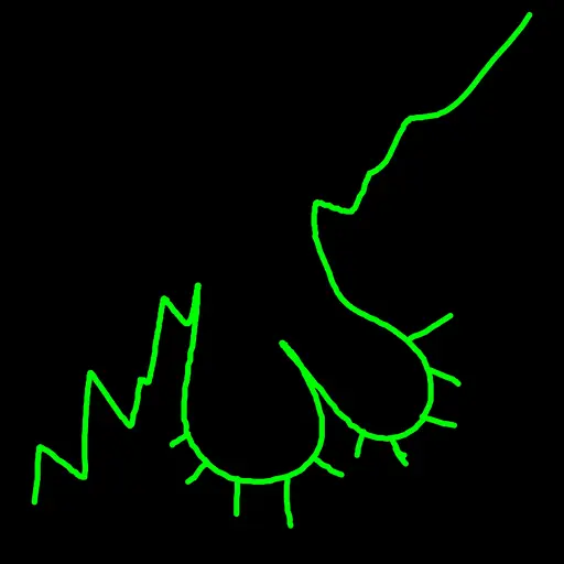 $BALLISH mascot — hand-drawn testicular anatomy diagram in acid green on black